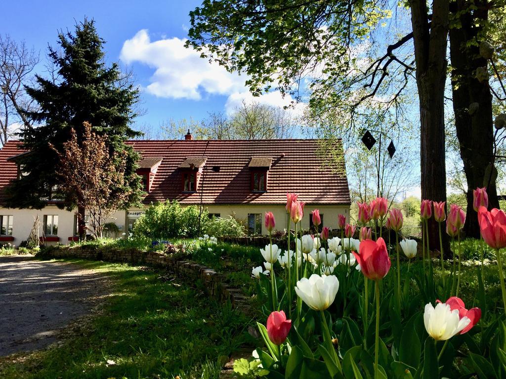 Gaestehaus Schloss Plaue Brandenburg  Dış mekan fotoğraf