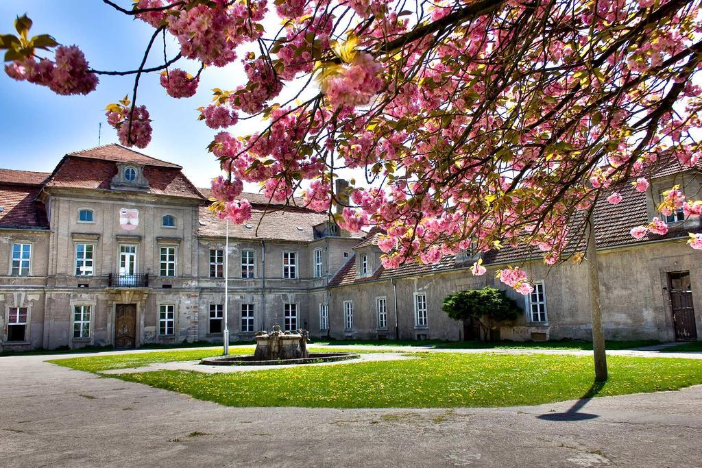 Gaestehaus Schloss Plaue Brandenburg  Dış mekan fotoğraf